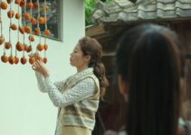 Little Forest (2018 Korean Movie) Ending Explained
