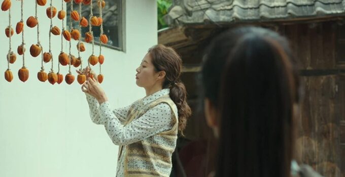 Little Forest (Korean Movie) Ending Explained