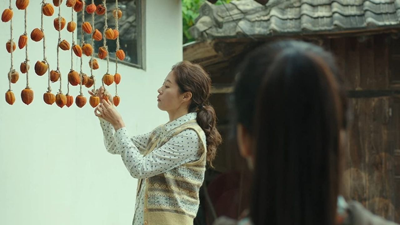 Little Forest (2018 Korean Movie) Ending Explained - The Odd Apple