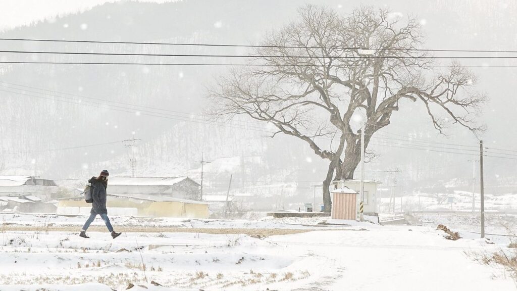 little forest 2018 korean movie winter