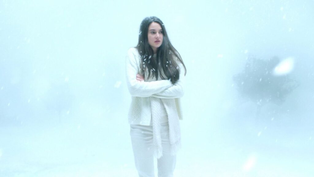 white bird in a blizzard 2014 movie